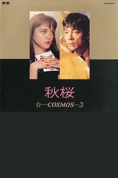 Akizakura - Cosmos