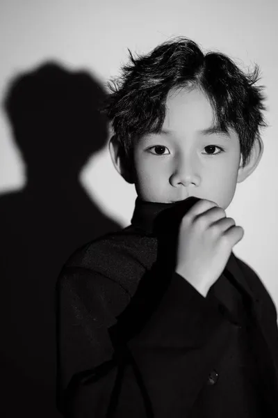 Wang Maiqi