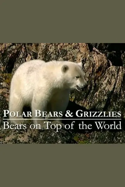 Polar Bears & Grizzlies: Bears on Top of the World
