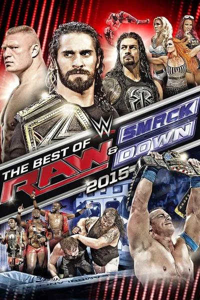 WWE The Best of Raw & SmackDown 2015