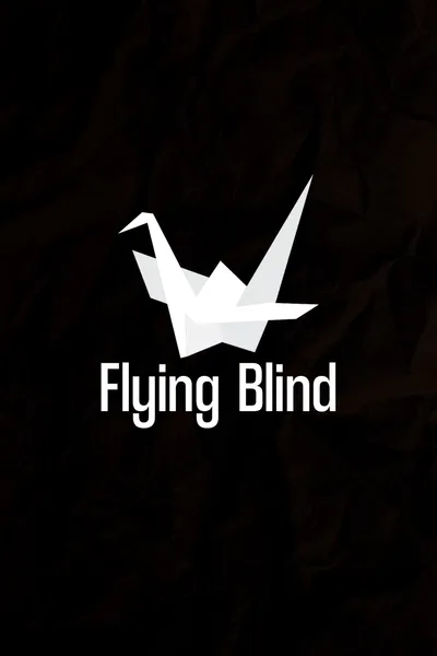 Flying Blind