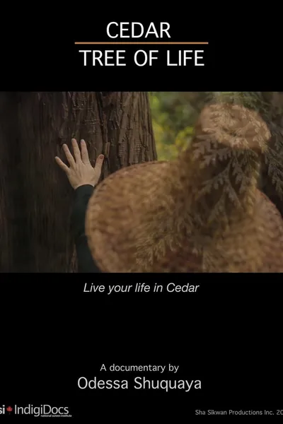Cedar Tree of Life