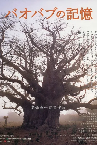 A Thousand Year Song of Baobab