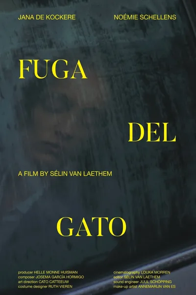 Fuga Del Gato