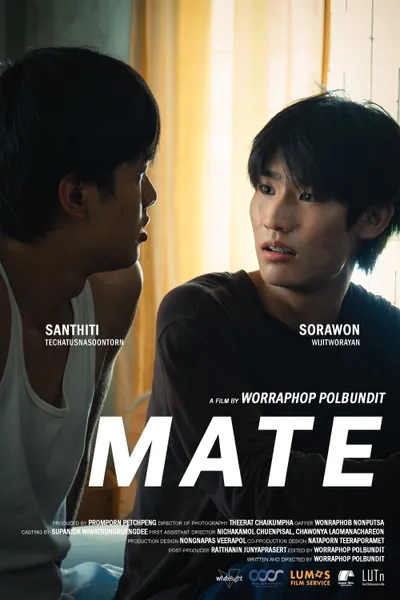 MATE