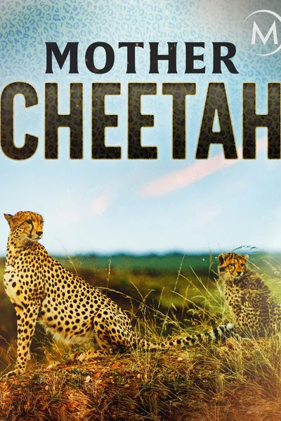 Cheetah Mom