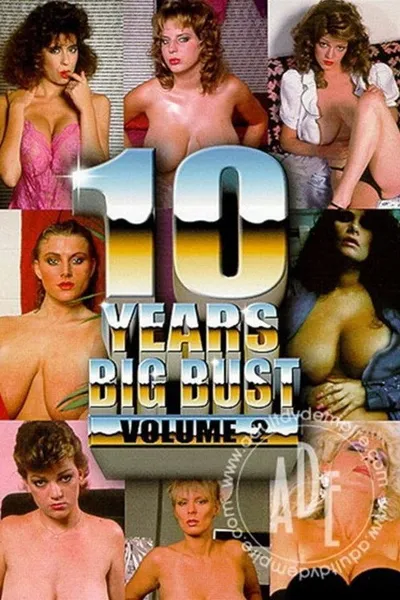 10 Years Big Bust Vol.2