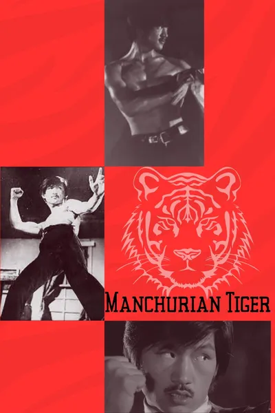 Manchurian Tiger