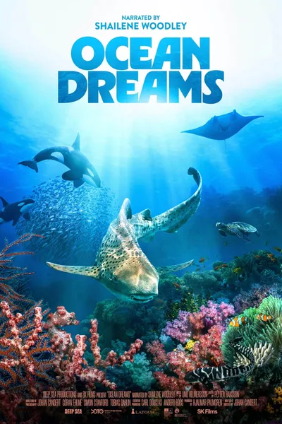 Ocean Dreams