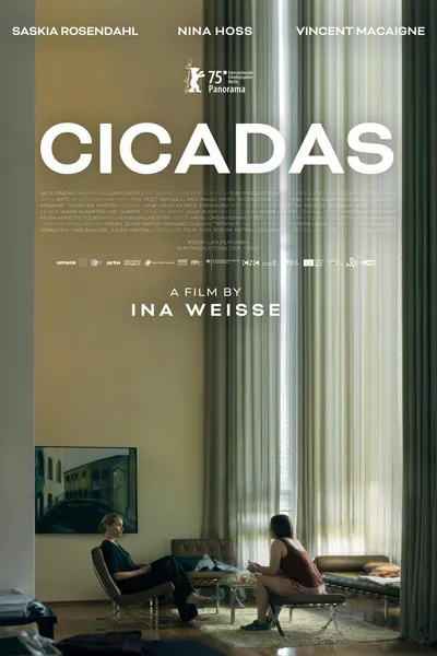 Cicadas