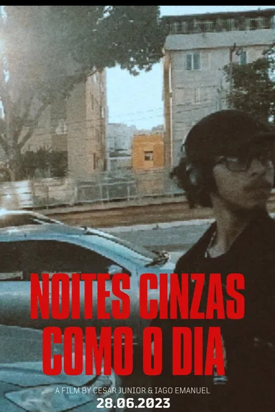 NOITES CINZAS COMO DIA