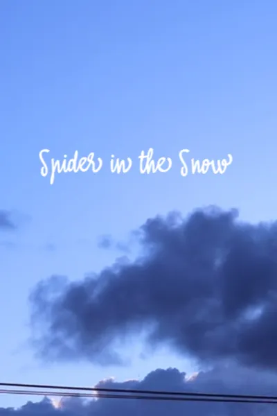 Spider in the Snow