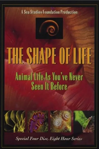 The Shape of Life