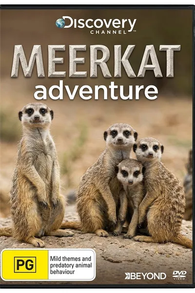 Meerkat Adventure