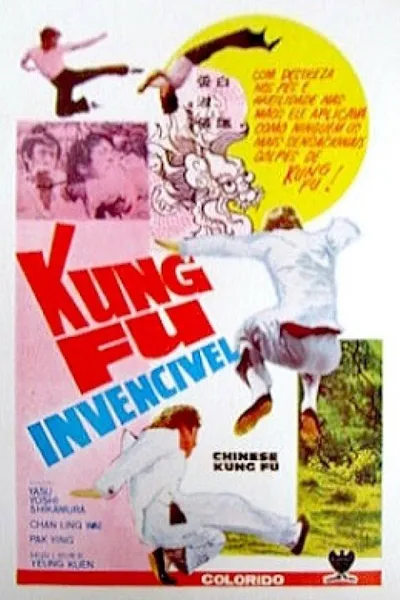 Chinese Kung Fu