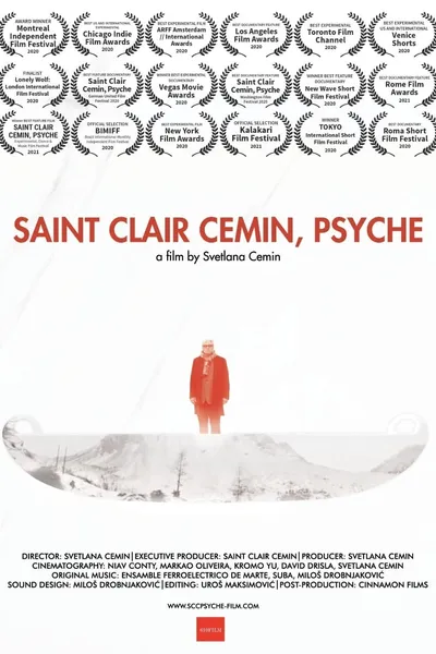 Saint Clair Cemin, Psyche