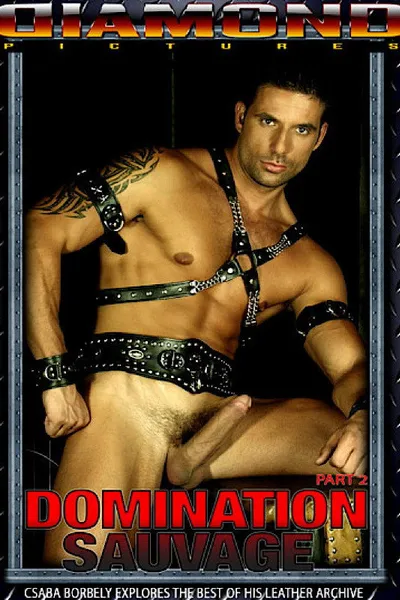 Domination Sauvage 2