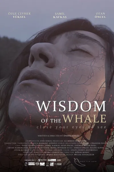 Wisdom of the Whale