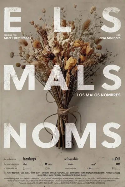 Els mals noms