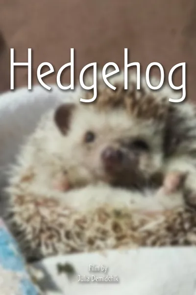 Hedgehog