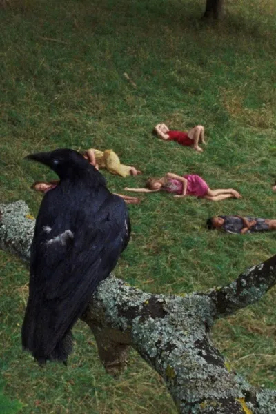The Bird Game