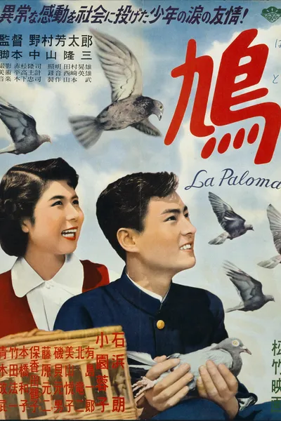 The Pigeon
