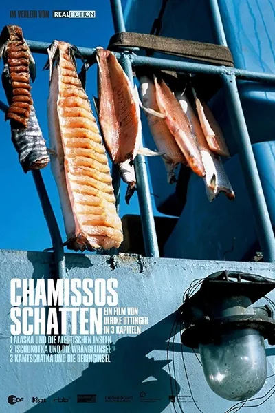 Chamisso’s Shadow