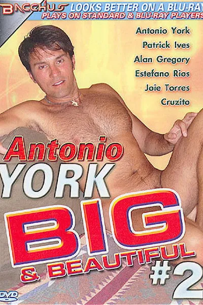 Antonio York: Big & Beautiful 2