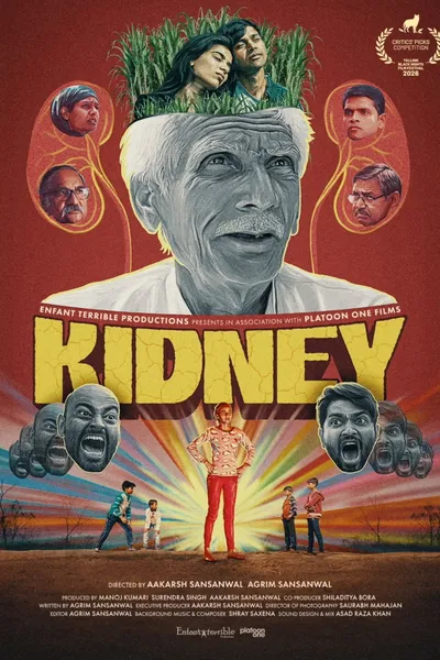 Kidney