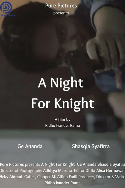 A Night For Knight