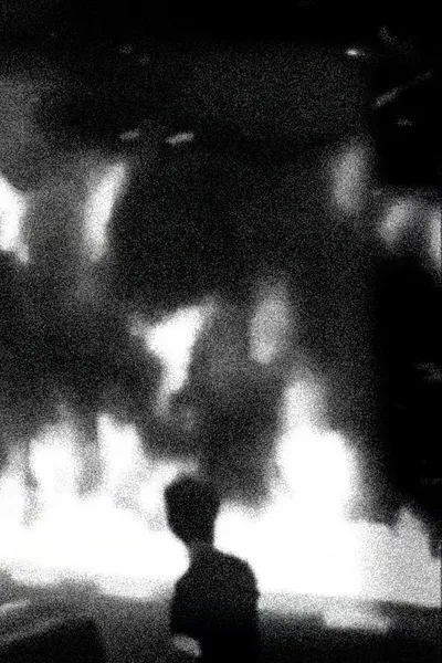 The World is Burning