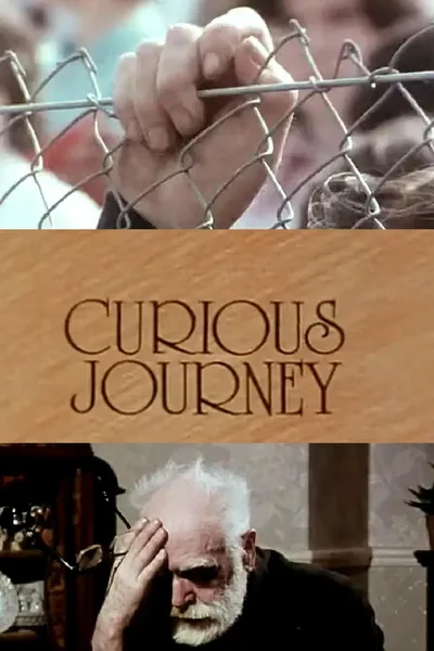 Curious Journey