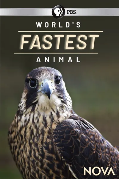 World's Fastest Animal