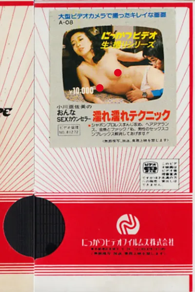 Asami Ogawa: Female SEX Counselor, Wet Technique