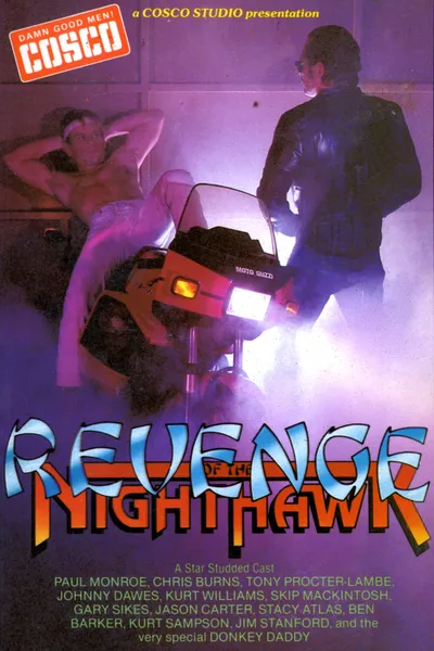 Revenge of the Nighthawk in Leather