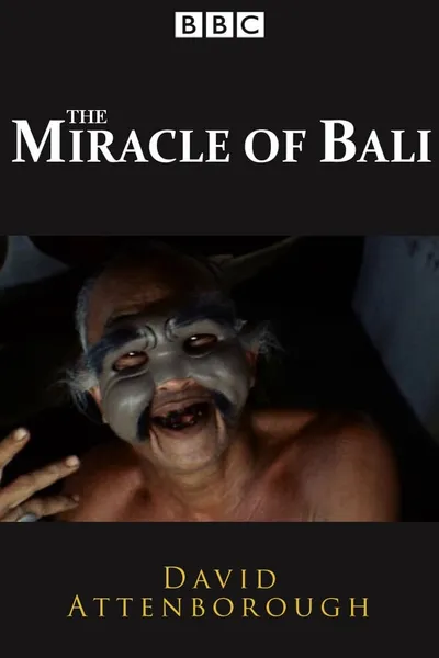 The Miracle of Bali