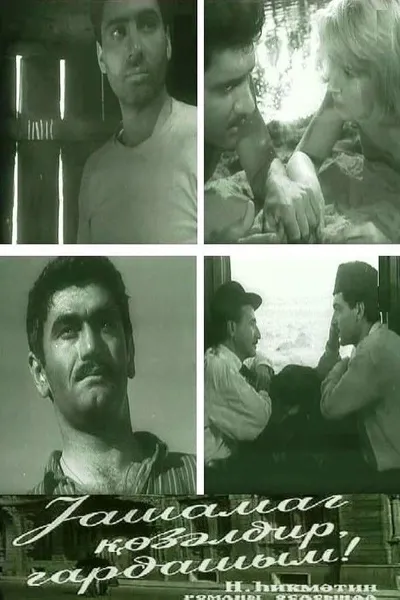 The Life is Beautiful, Brother!