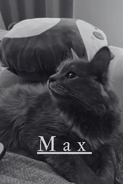 Max