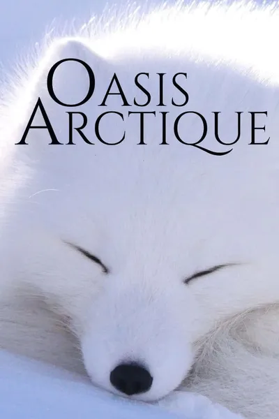 Oasis Arctique