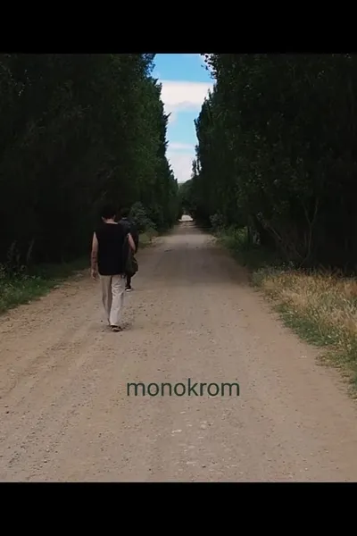 Monokrom