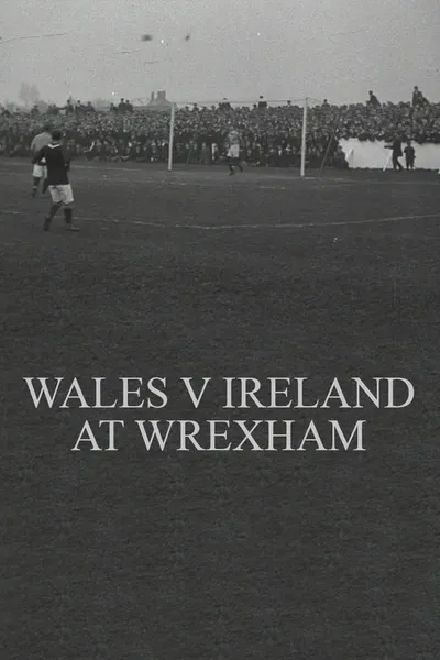 Wales v. Ireland at Wrexham