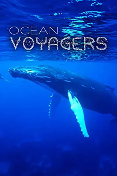 Ocean Voyagers