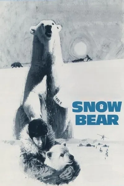 Snow Bear