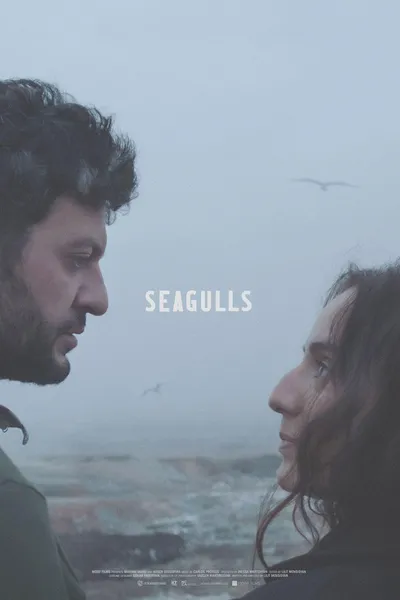 Seagulls