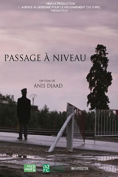 PASSAGE A NIVEAU