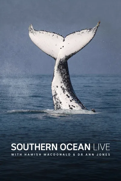 Southern Ocean Live