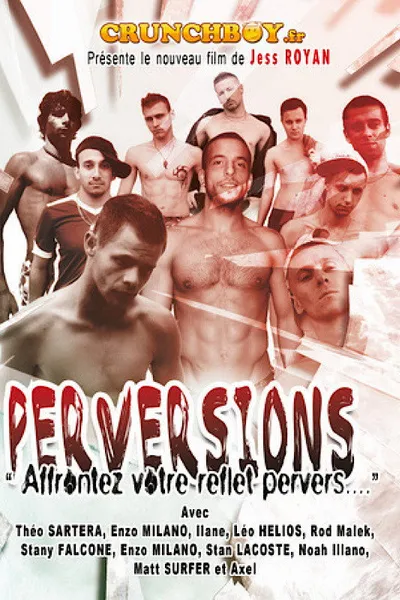 Perversions