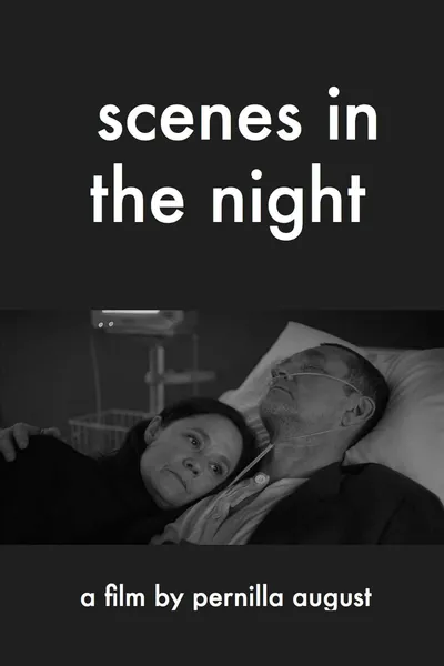Scenes in the Night