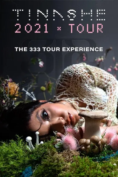 The 333 Tour Experience