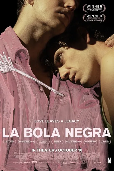 La bola negra